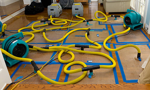 Professional Water Damage Repair technician working in Boling, TX